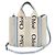 Borsa a tracolla 2-way Chloé Woody Small in tela e pelle Blu Beige