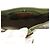 Borsa Coach Coachtopia Ergo Butterfly Print Rosso Verde Verde oliva - vista 6