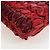 Miu Miu Matelasse Shoulder Pouch Leather Red Gold Tone Auth SW2692M Rosso - vista 17