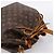 LOUIS VUITTON Monogram Petit Noe Shoulder Bag M42226 LV Auth 200465V Monogramm - Ansicht 6