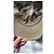 Lacoste beige cotton cap - view 12