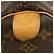 Borsa Boston Louis Vuitton Monogram Keepall 45 Marrone - vista 5