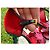 Bow Prada SS 2008 Fairy Collection Samt High Heels Rot Pink Lila - Ansicht 11
