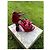 Bow Prada SS 2008 Fairy Collection Samt High Heels Rot Pink Lila - Ansicht 20