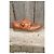 Autre Marque Kickers Scarpe Monk Strap in Pelle Marrone con Stampa Leopardata Stampa leopardo - vista 8