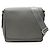 Louis Vuitton Gray Taiga Roman PM Braun