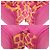 Mochila MCM de piel de becerro con estampado animal print Rosa Amarillo - vista 4