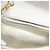Borsa a tracolla Chanel Diana Chain Bianco - vista 4