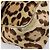 Borsa a tracolla FENDI Mamma Baguette in pelle Harako Beige Silver Auth am12627SAM Argento - vista 11