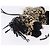 LOEWE Ciondolo Borsa Motif Zebra Pelle Black Beige Auth 167701SAM Nero - vista 8