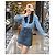 Céline Denim Rock Blau Arc de Triomphe Mehrfarben - Ansicht 7