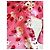 Autre Marque Compania Fantastica Abito Corto Floreale Rosa Bianco Rosso - vista 10