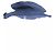 Chapeau bleu Acne Studios - vue 3