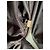 Louis Vuitton Keepall 55 Monogram Reisetasche mit Rollen Braun - Ansicht 4