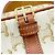 Céline Bolso de hombro Celine Medium Folco Triomphe Castaño Blanco - vista 11