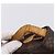 LOUIS VUITTON Monogram Saint Cloud MM Schultertasche M51243 LV Auth LN149 Monogramm - Ansicht 9