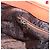 Borsa Salvatore Ferragamo in pelle arancione e argento Auth BA15525A - vista 19
