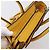 Céline CELINE Luggage Nano Hand Bag Leather 2way Yellow Gold Auth 204834M D'oro Giallo - vista 9