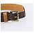 LOUIS VUITTON Monogram Collie Baxter PM Correa para perro M58072 LV Auth 204242 Monograma - vista 6