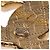 Gioielli CHANEL CC in Metallo Dorato - 103904 D'oro - vista 6