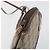 GUCCI GG Supreme Web Sherry Line Shoulder Bag PVC Beige 904 02 047 - vista 15