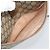 GUCCI GG Supreme Web Sherry Line Bag PVC Beige Gold 89 02 032 - vista 11