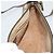 GUCCI GG Supreme Web Sherry Line Bag PVC Beige Gold 89 02 032 - vista 20