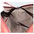 BOTTEGA VENETA INTRECCIATO Tote Bag Leather Brown - vista 17