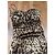 Dolce & Gabbana Vestido palabra de honor estampado leopardo Castaño Estampado de leopardo - vista 7