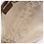 Borsa a tracolla GUCCI GG Canvas Beige Oro 005 0813 Auth 204158 D'oro - vista 19