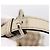 Borsa GUCCI GG Canvas Sukey 2way Beige Gold 247902 Auth 201493 D'oro - vista 10