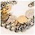 Bracciale Dolce & Gabbana Gipsy Coin Charm in acciaio argento e oro D'oro Silver hardware Gold hardware - vista 2