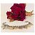 Bracciale Dolce & Gabbana Gipsy Coin Charm in acciaio argento e oro D'oro Silver hardware Gold hardware - vista 7