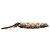 Pouch da polso Coach Beige Small Signature Canvas and Leather Studded - vista 3