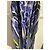 Roberto Cavalli Kleid blau T.M - Ansicht 7