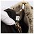 Miu Miu Handtasche Leder 2way Beige Gold Auth 204331V Golden - Ansicht 12
