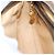 Borsa a tracolla GUCCI Web Sherry Line in pelle marrone scuro e oro autentica 204421 D'oro - vista 19