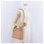 Borsa Salvatore Ferragamo Gancini in pelle 2way Marrone Argento Auth BA15725 - vista 26
