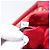 Borsa a mano Miu Miu Canvas Red Gold Auth 204315 Rosso D'oro - vista 12