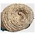 Bolso cesta Dolce & Gabbana Beige - vista 5