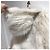 Fourrure Armani blanche T.40 White - view 3