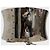 Ceinture corset Dolce & Gabbana Silvery
