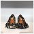 Lanvin Ballerinas schwarz T.36 - Ansicht 2