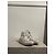 JW Anderson Sneaker J.W Anderson x Converse T.36 Weiß - Ansicht 2