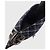 Mules Balenciaga Knife BB T.37 Blu - vista 5