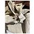 Marni Jacke beige T.42 - Ansicht 9