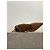 Sergio Rossi Pumps marron T.35 Braun - Ansicht 5