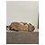 Valentino Garavani Sandali Valentino camel T.38.5 Cammello - vista 4