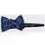 Papillon Charvet Blu - vista 2