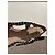 Bailarinas slingback Miu Miu T.38 Beige - vista 10